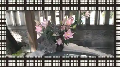 三島神社(東京都)