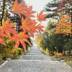 上川神社の自然