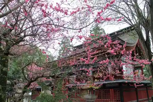 威徳天満宮の自然