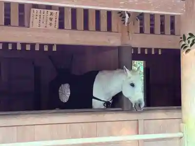 伊勢神宮外宮（豊受大神宮）(三重県)
