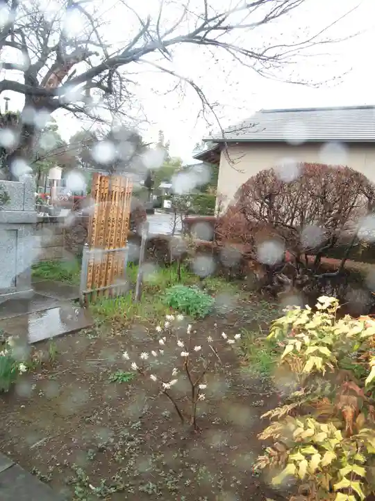 真光寺(千葉県)