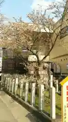 手力雄神社の建物その他