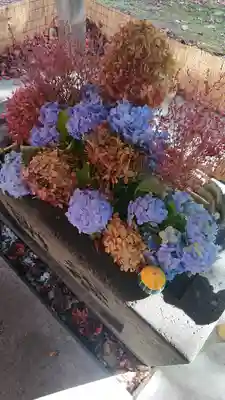 北広島市総鎮守 廣島神社の手水舎