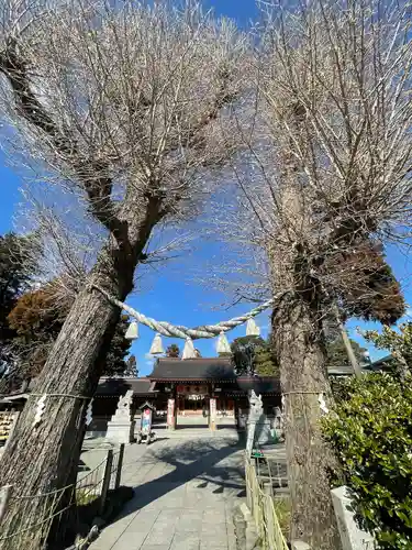 亀ケ池八幡宮の自然