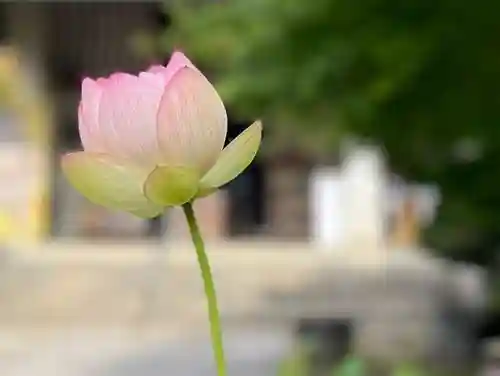 伊勢の国 四天王寺の自然