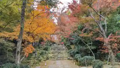 浄住寺(京都府)