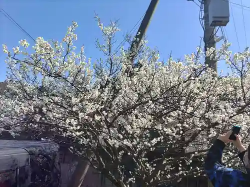 金熊寺(大阪府)