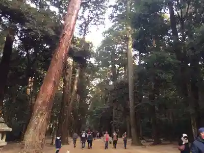 鹿島神宮の建物その他