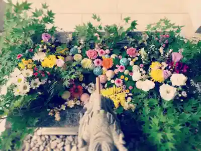 滑川神社 - 仕事と子どもの守り神の手水舎