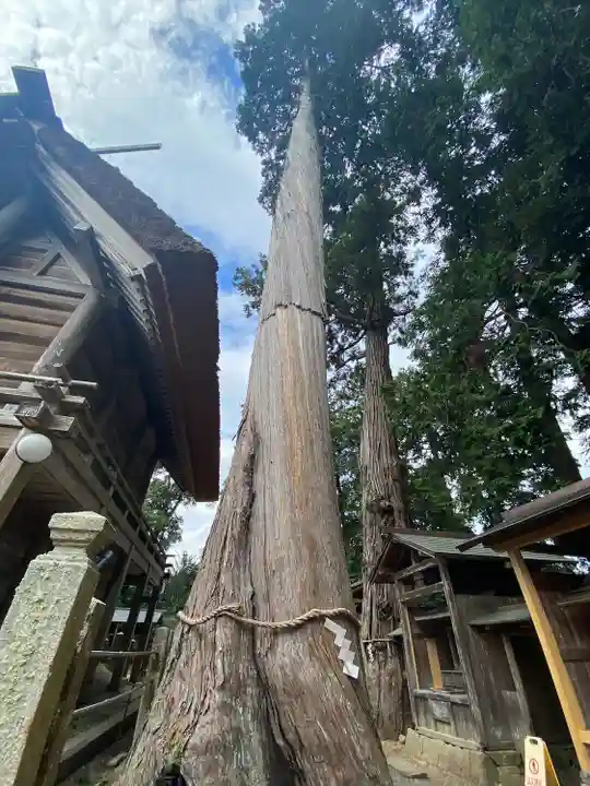 豊受大神社(京都府)