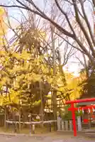 稲毛神社(神奈川県)