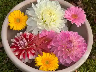 勝林寺(京都府)