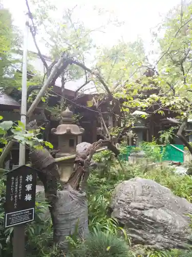 愛宕神社の自然