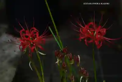 伊勢山皇大神宮(神奈川県)