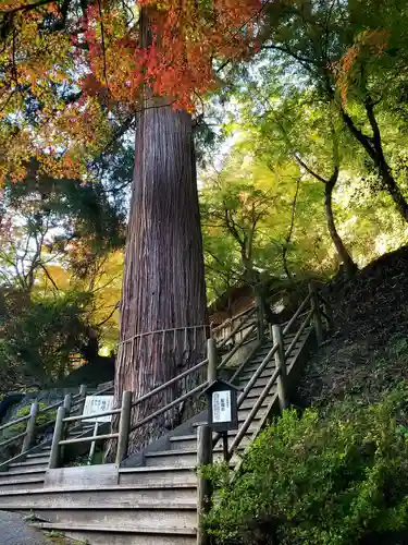 八女津媛神社のその他建物