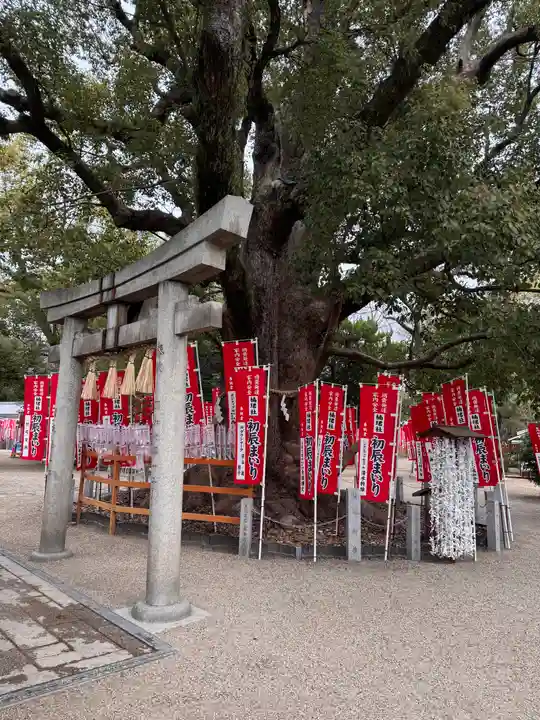 楠珺社(住吉大社末社)(大阪府)