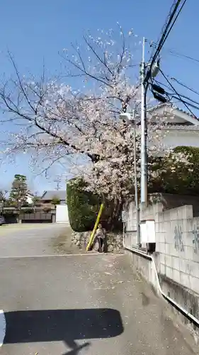 総持寺(大阪府)