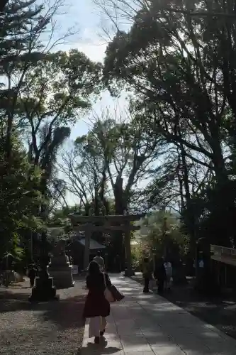 谷保天満宮の{uncategorized: "未分類", other: "その他", undefined: "問題あり", building: "その他建物", grave: "お墓", sacred_gate: "鳥居", guardian: "狛犬", statue: "像", buddha: "仏像", history: "歴史", nature: "自然", garden: "庭園", animal: "動物", pagoda: "塔", temizu: "手水舎", mountain_gate: "山門・神門", sanctuary: "本殿・本堂", subordinate: "末社・摂社", art: "芸術", scenery: "景色", jizo: "地蔵", ema: "絵馬", goshuin: "御朱印", omikuji: "おみくじ", items: "授与品その他", amulet: "お守り", goshuincho: "御朱印帳", eats: "食事", festival: "お祭り", votive_dance: "神楽", shichigosan: "七五三参", wedding: "結婚式", experience: "体験その他", initially: "初詣", around: "周辺", anti_infection: "感染症対策"}