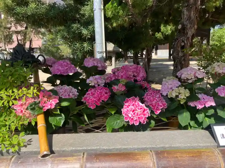 三津厳島神社の手水舎