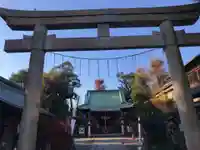 高円寺天祖神社の鳥居