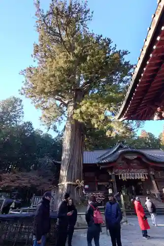 北口本宮冨士浅間神社(山梨県)