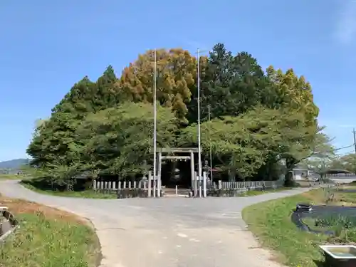 大谷神社の鳥居
