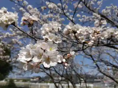 日吉神社(福井県)