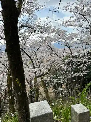 金崎宮(福井県)
