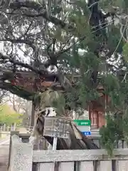 高砂神社の歴史