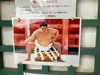 住吉大社(大阪府)