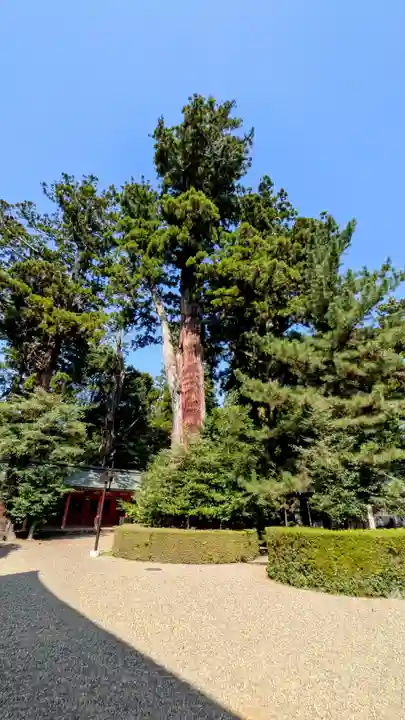 香取神宮(千葉県)