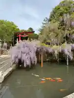 嘉川八幡宮の{uncategorized: "未分類", other: "その他", undefined: "問題あり", building: "その他建物", grave: "お墓", sacred_gate: "鳥居", guardian: "狛犬", statue: "像", buddha: "仏像", history: "歴史", nature: "自然", garden: "庭園", animal: "動物", pagoda: "塔", temizu: "手水舎", mountain_gate: "山門・神門", sanctuary: "本殿・本堂", subordinate: "末社・摂社", art: "芸術", scenery: "景色", jizo: "地蔵", ema: "絵馬", goshuin: "御朱印", omikuji: "おみくじ", items: "授与品その他", amulet: "お守り", goshuincho: "御朱印帳", eats: "食事", festival: "お祭り", votive_dance: "神楽", shichigosan: "七五三参", wedding: "結婚式", experience: "体験その他", initially: "初詣", around: "周辺", anti_infection: "感染症対策"}
