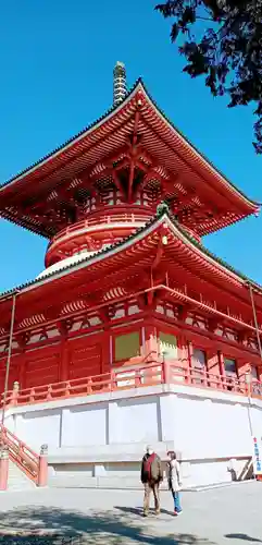 成田山新勝寺(千葉県)