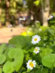 山家神社の自然