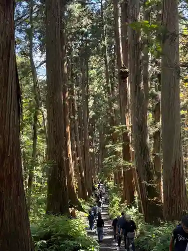 戸隠神社九頭龍社(長野県)