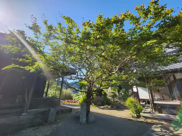 円明寺の建物その他