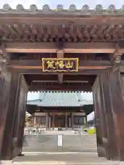 光蔵寺の山門