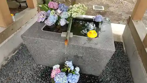 高司神社〜むすびの神の鎮まる社〜の手水