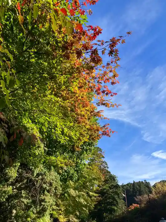 高野山金剛峯寺奥の院(和歌山県)