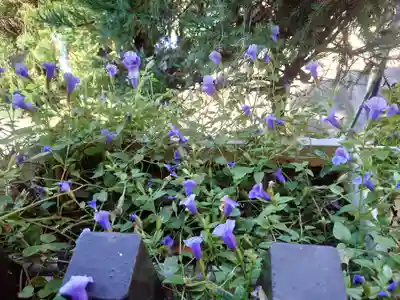 大綱金刀比羅神社(神奈川県)