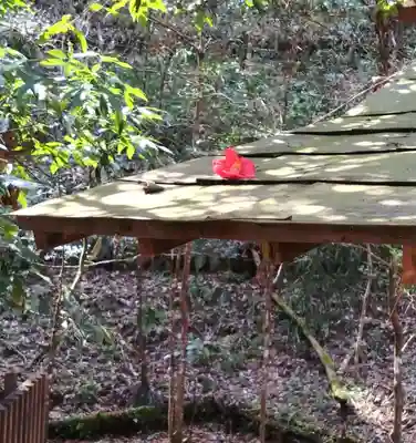 幣立神宮(熊本県)