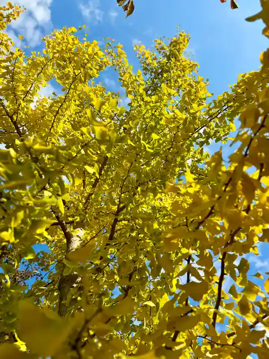 伊達神社(北海道)