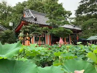 中山寺の本殿・本堂