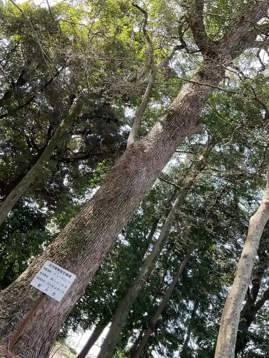 鹽江神社(中野)(愛知県)