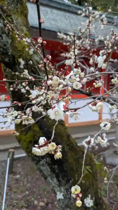 北野天満宮(京都府)
