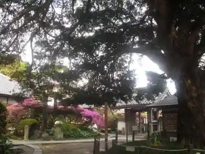 安養院　(田代寺）のその他建物