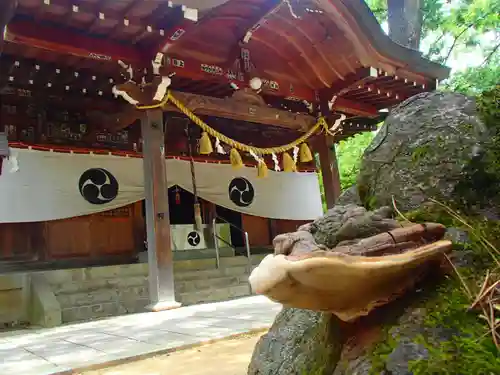 川中島古戦場八幡社の本殿