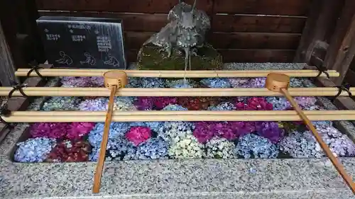 鎮守氷川神社の手水舎