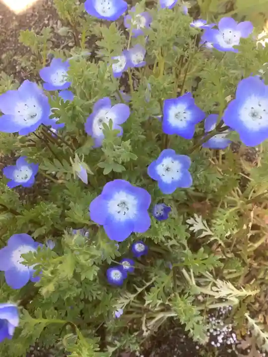 超世院(常楽寺塔頭)(愛知県)