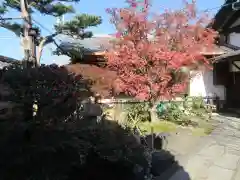 観智院（東寺子院）の自然